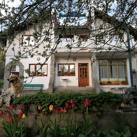 Самостоятелни Стаи В Къща За Гости Балкан Ribarița Exterior foto